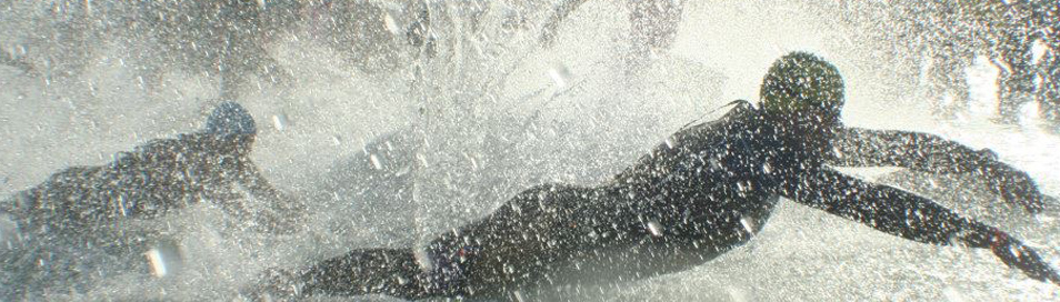 Wessex Wizards members